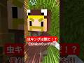 虫キング決定戦！ #shorts #マイクラ