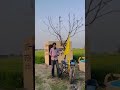 Splender modified 🚀✈️ new trend bike Yatra Shri Anandpur Sahib #virl #top #view #news #🙏🏻🌸⚔️🪯