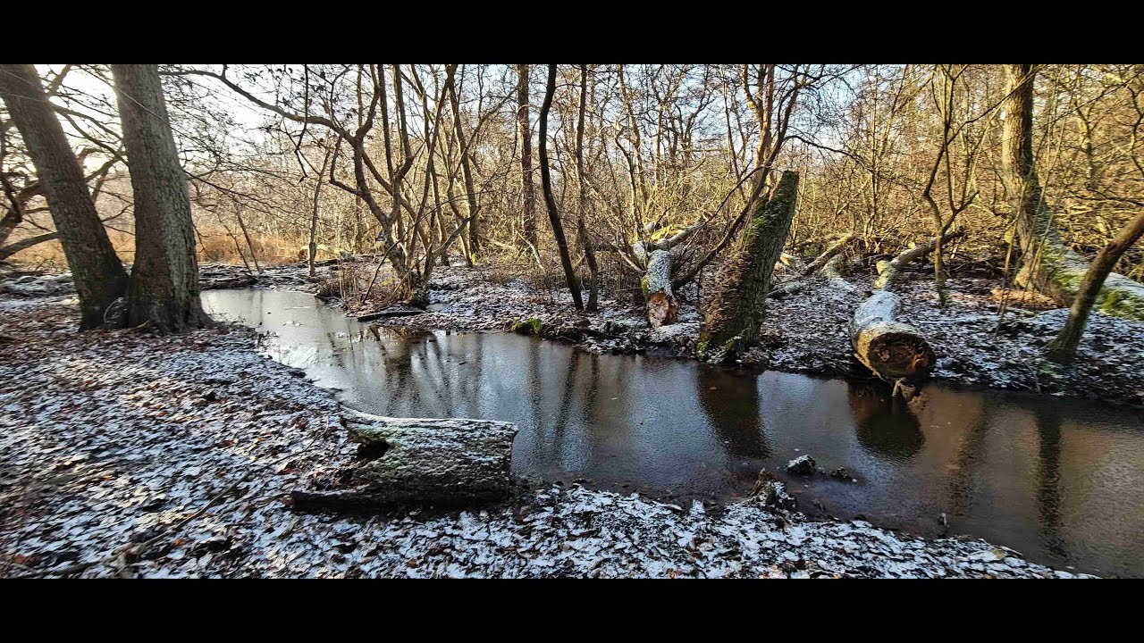 30. december 2025 Næstved – Herlufsholmskoven