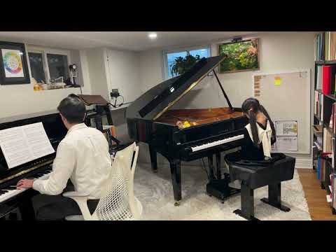 M. MIER - Concerto in Classical Style, 1st movement