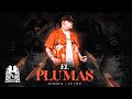 Junior H - El Plumas [En Vivo]