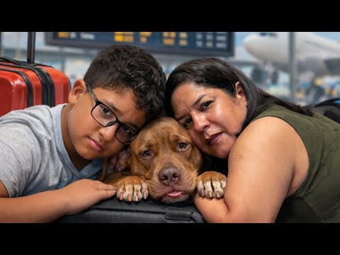 Enfim, A Despedida | O Último Dia Do Tutu e Da Vó Com Os Cachorros