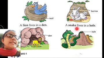 Class-1st E.VS. (Ch-13 Food And Homes of Animals) Explanation