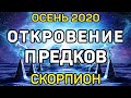 СКОРПИОН. ОСЕНЬ 2020. ОТКРОВЕНИЕ ПРЕДКОВ. ЧТО ВАМ НУЖНО ЗНАТЬ ПРЯМО СЕЙЧАС. ПРОГНОЗ ТАРО ОНЛАЙН.