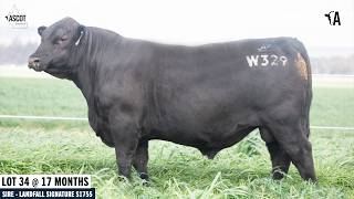 Information LOT 34: ASCOT WARRANTY W329 Guide
