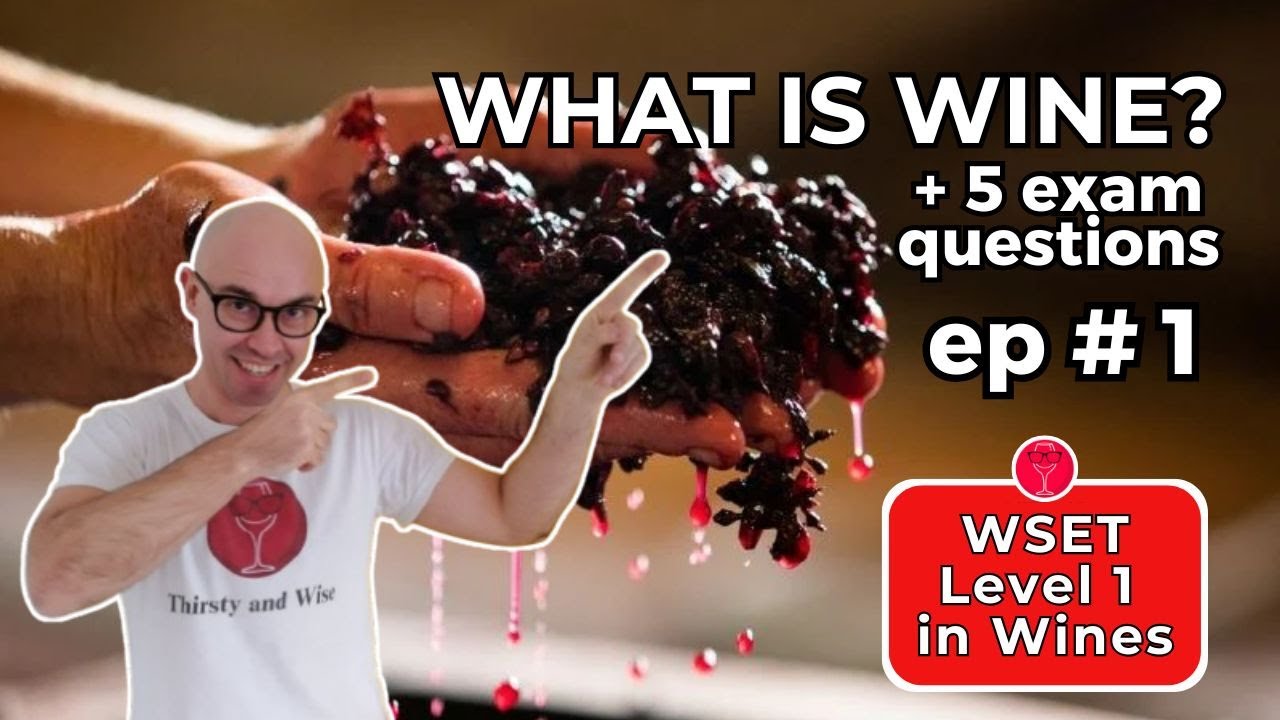 What is Wine? 🍷 WSET Level 1 in Wines – Episode #1