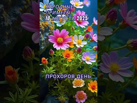 10 августа народные приметы. Приметы на каждый день. Именины 10 августа.
