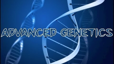 Minecraft Mod Spotlight: Advanced Genetics!
