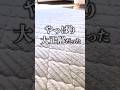 買って大正解だったラグ！#shorts