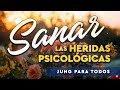 Sanar las Heridas Psicológicas - Jung para Todos - Parte 1