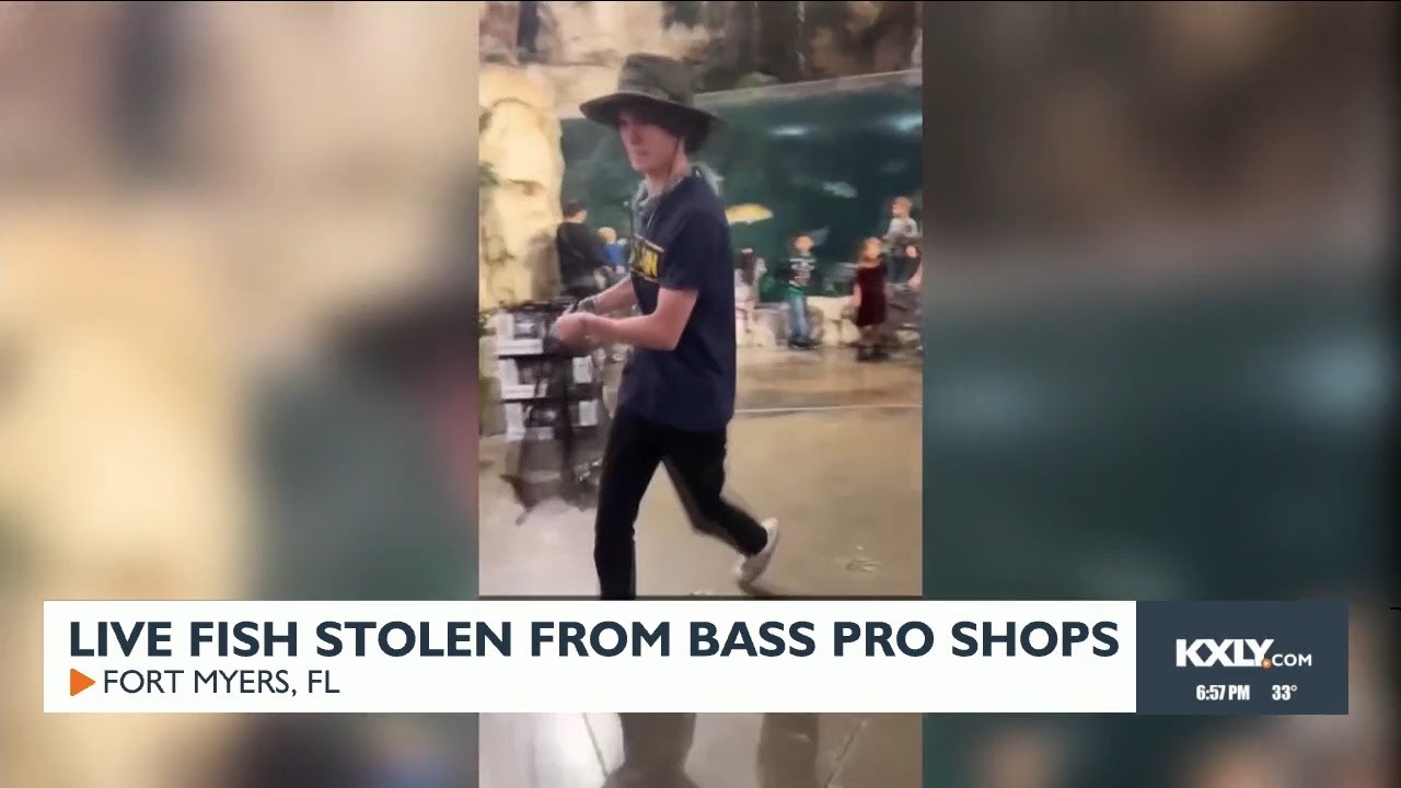 Man 'Catches,' Steals Live Tarpon From Bass Pro Shops