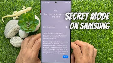 How to Turn on Secret Mode on Samsung Internet (2023)