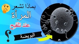 بماذا تشعر المرأة عند تلقيح البويضة ؟