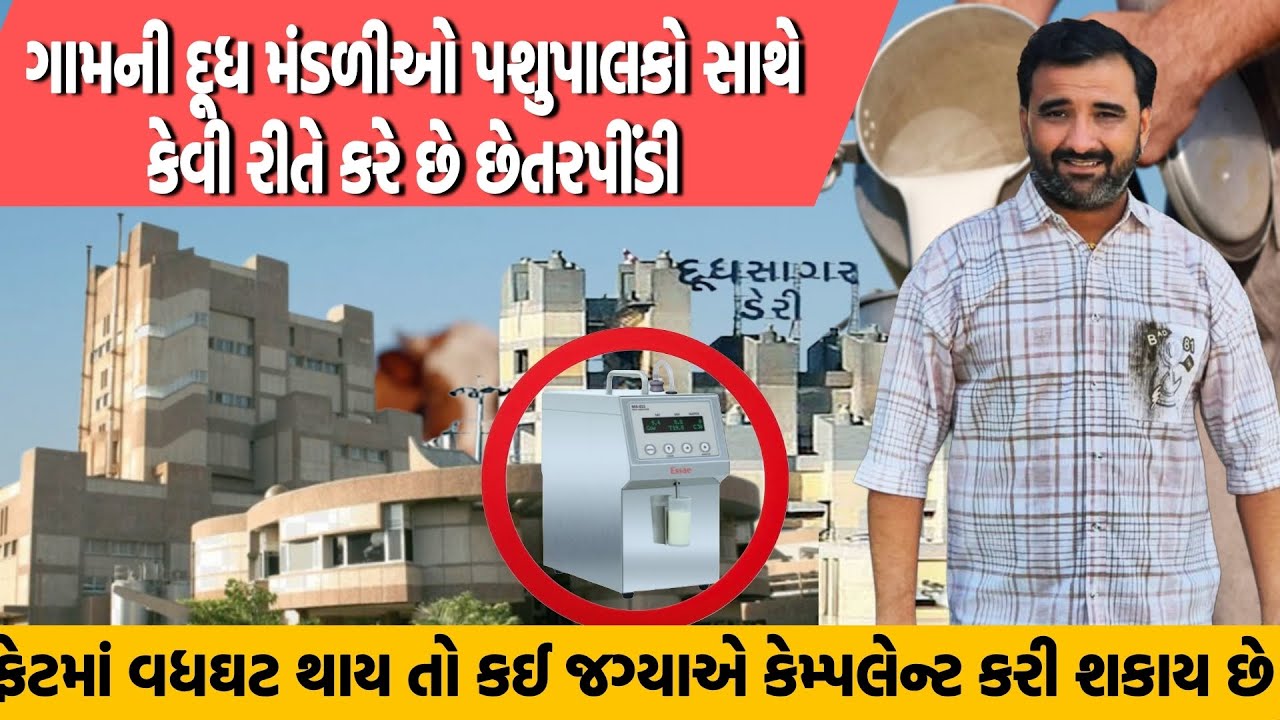 ગામની દૂધ મંડળીઓ પશુપાલક સાથે કેવી રીતે છેતરપિંડી કરે છે ફેટમાં વધઘટ કેવી રીતે કરી શકાય 😱