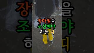 장마철을 조심해야하는 띠 #운세 #운명이야기 #띠별운세