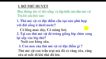 Sinh 7 đa dạng lớp thú - bộ thú huyệt thú túi