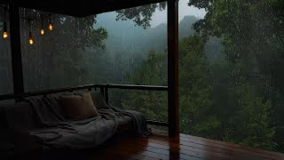 Cabin in the Rainforest | Soothing Porch Ambience for Sleeping