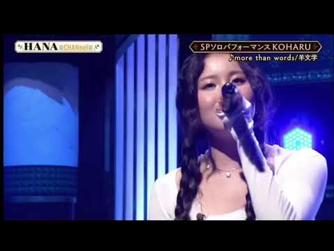 KOHARU (HANA)– more than words/羊文学【ソロ】