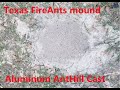 Aluminum Anthill cast #1 Pouring Molten Aluminum in a Fire Ant Bed #DevilForge #FireAnts #Anthillart