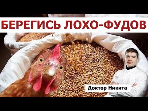 Омега-6 жирные кислоты в животных жирах и функциональные продукты обогащённые Омега-3