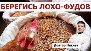 Омега-6 жирные кислоты в животных жирах и функциональные продукты обогащённые Омега-3