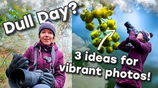 Turn Grey Days into Vibrant Photos
