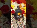 amba Bhavani Pooja||Ali Ali gondhala||amba Bhavani song||#sortsfeed #kalaburagi #ambabhavani