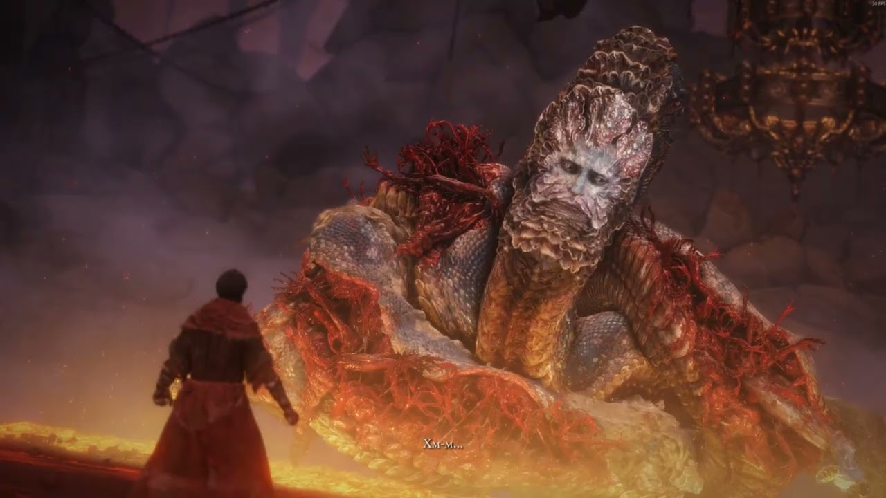 ELDEN RING COOP EXPERIENCE