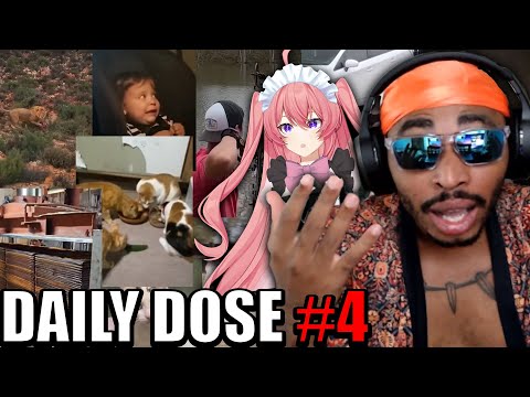 Insanity With A Cute VTuber! @Norielle_Lace | Daily Dose Reaction #4