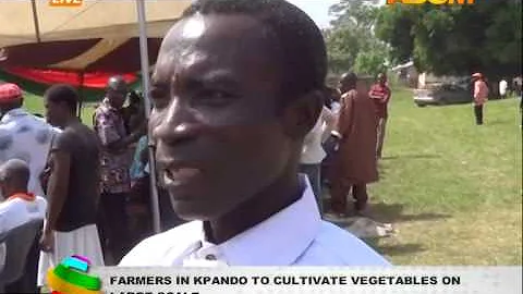 Kpando Farmers to Cultivate Vegetables on Large Scale