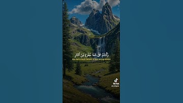 سورة آل عمران #قران_كريم #الرحمن #اكسبلور #حالات_واتس #دويتو #duet #لايك #تيك_توك #راحة_نفسية