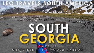South Georgia Island (Part 2) - Grytviken and Gold Harbor | Travel Vlog Day 8 & 9
