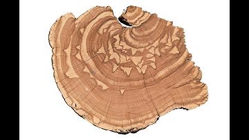 Monthly paleostreamflow reconstruction from annual tree-ring chronologies