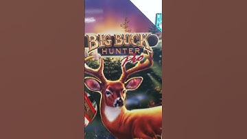 Big Buck Hunter - loading screen only