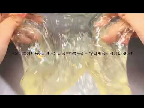 공론화계 팬층에 대해서 공론화 액괴 공론화 시리즈 액괴 몽글님 도깨비불 시액 공론화