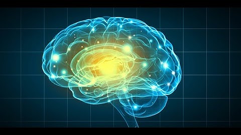 Study reveals dopamine