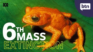 Mass Extinction - Behind the News