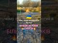 Вічний Вогонь на Прикарпатті Газовий Грифон у Лісній Слобідці 