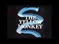 stone butterfly the yellow monkey