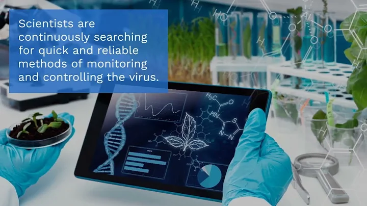 The importance of a harmonized diagnostic protocol for Tomato brown rugose fruit virus ToBRFV