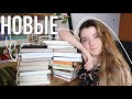 РЕДКИЕ, НЕОЖИДАННЫЕ И КНИГИ МЕЧТЫ || КНИЖНЫЕ ПОКУПКИ