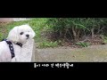 Vlog I 매일 집에만 있는데 이상하게 바쁘다 I 재택 알바 하는 집순이 주부의 하루 I 데이터 라벨링 근황 I 취미 생활 I 집순이