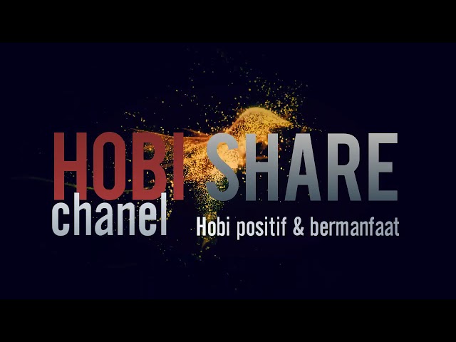 CHANNEL HOBI SHARE class=