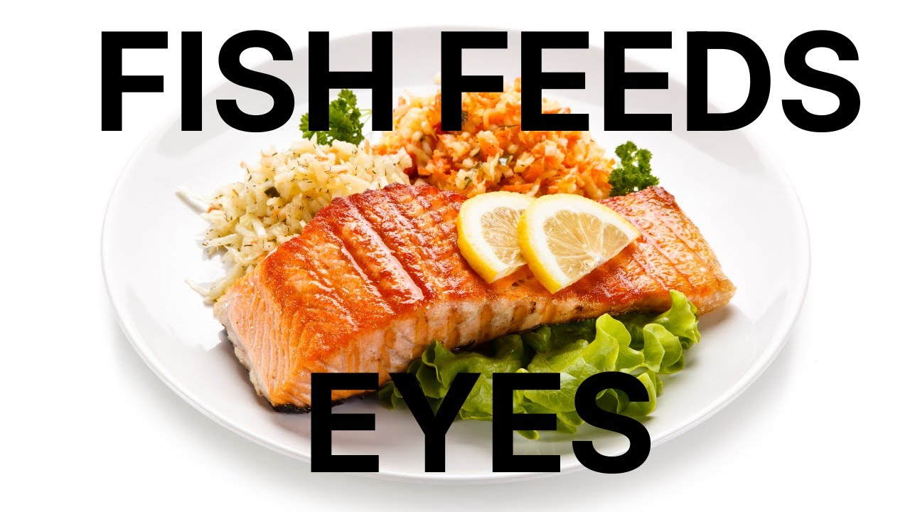Eye Health Series Episode 17 This Fish Can Fix Your Dry Eyes