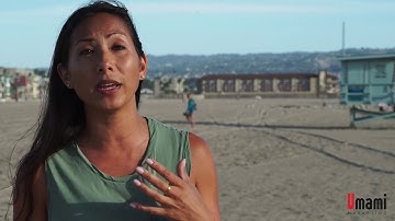 SEO Video Tutorial - What is Search Engine Optimization (SEO)?