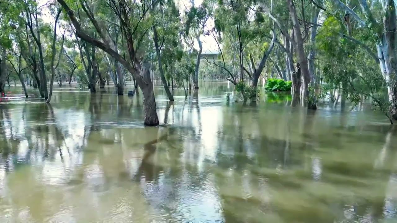 Flood Levels around The Echuca Moama Bridge / 4K Drone Footage