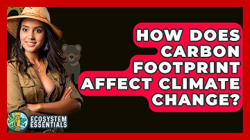 How Does Carbon Footprint Affect Climate Change? - Ecosystem Essentials