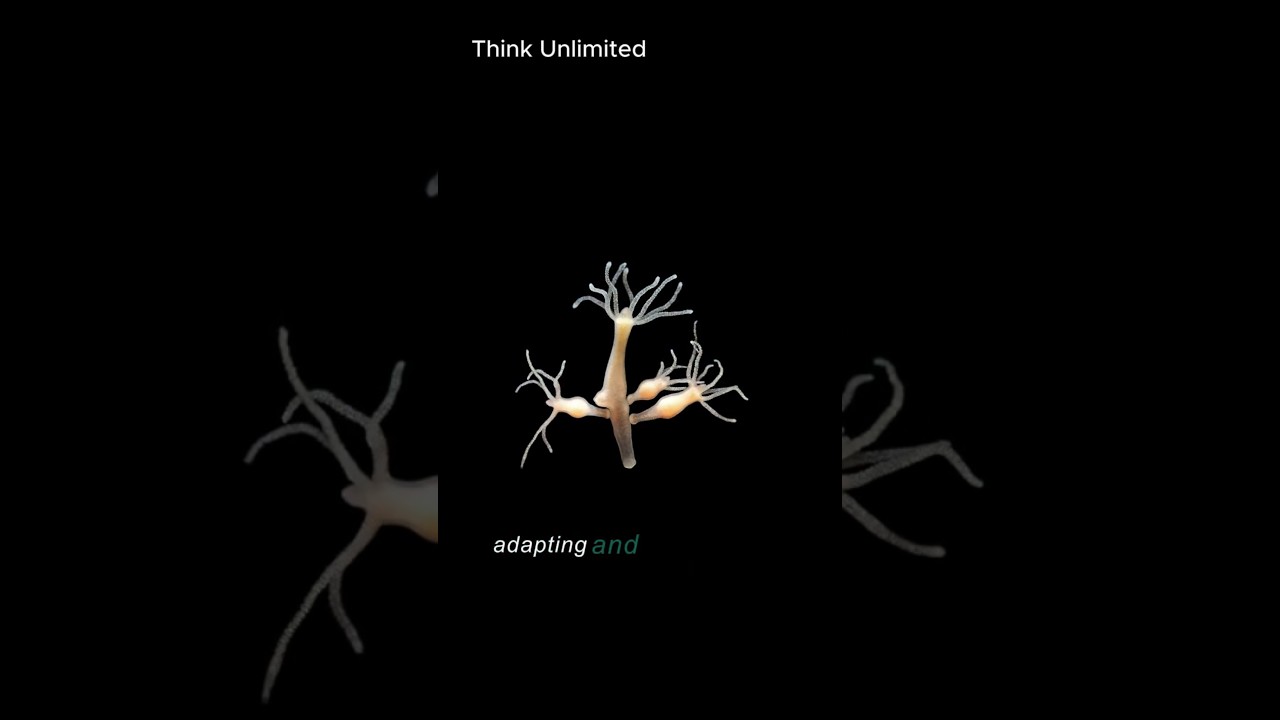 Cut Off One Head, Two More Grow: The Myth of the Hydra!