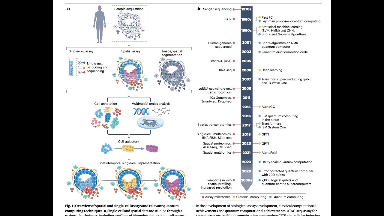 Quantum Computing for Single Cell Biology