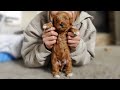 THREE WEEK OLD PUPPY TAKES HIS FIRST STEPS!